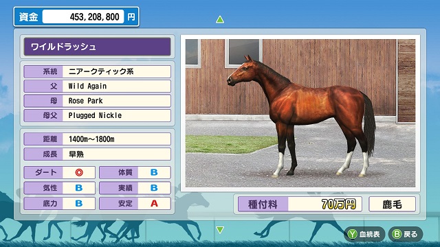 ダービースタリオン 序盤攻略 たごブログ