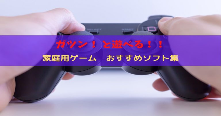 年末年始 オススメの ガツンと遊べるゲーム 特集 たごブログ