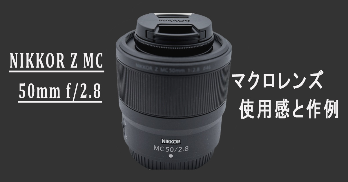 NIKKOR Z MC 50mm f/2.8をレビュー 軽くて接写以外でも活躍！